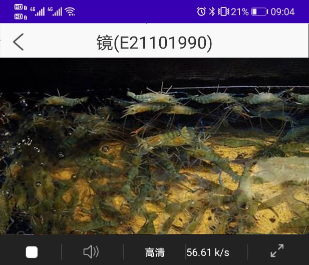 水產(chǎn)監(jiān)測